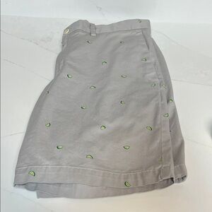 Banana Republic Gray with limes 🍋‍🟩 Shorts with Green Accents size 33